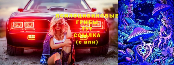 ECSTASY Рославль