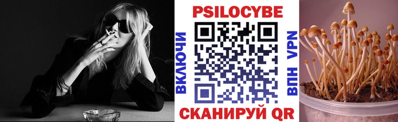 Галлюциногенные грибы мицелий Стародуб