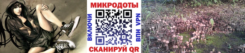Псилоцибиновые грибы MAGIC MUSHROOMS hydra онион Стародуб площадка состав где купить